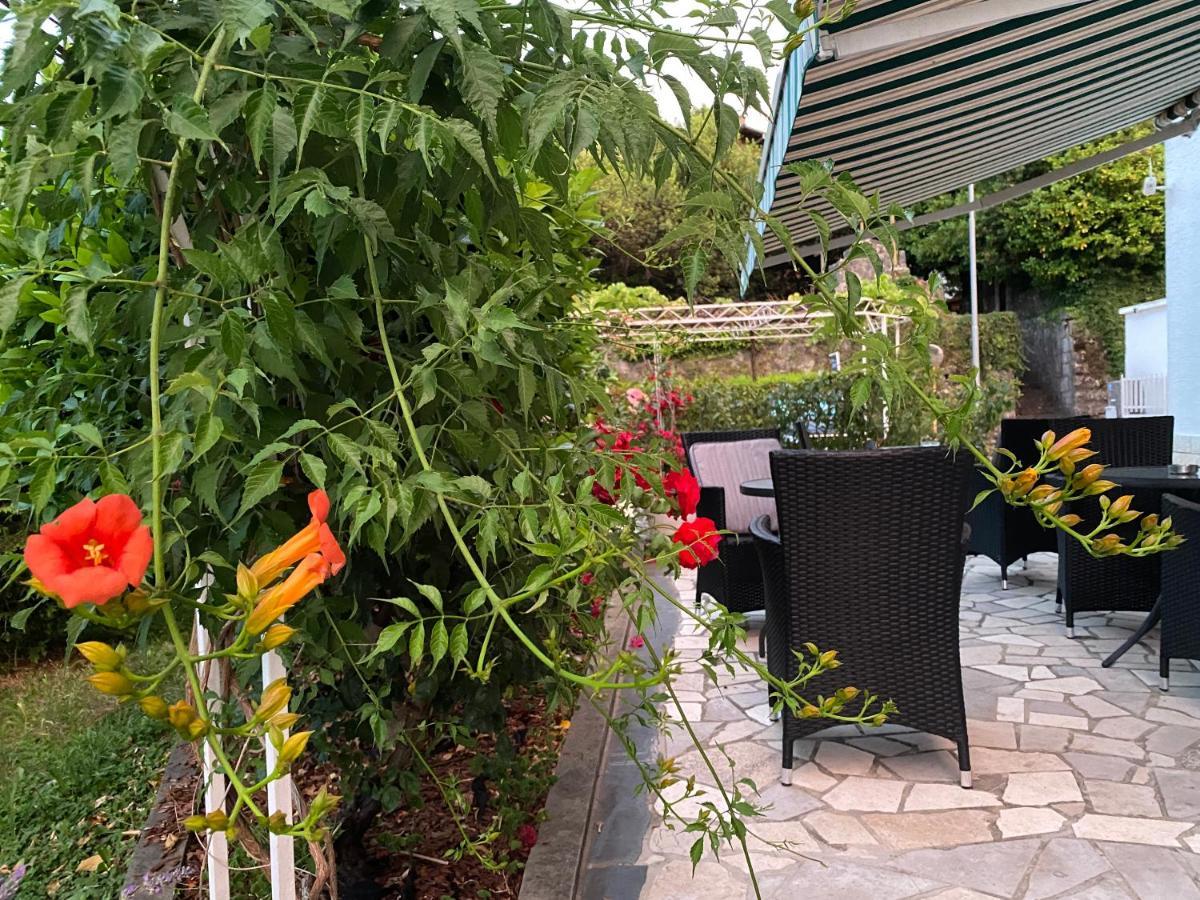 Guesthouse Villa Stanger 2 لوفغان المظهر الخارجي الصورة