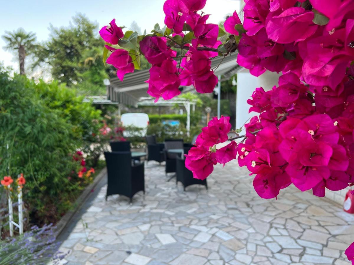Guesthouse Villa Stanger 2 لوفغان المظهر الخارجي الصورة